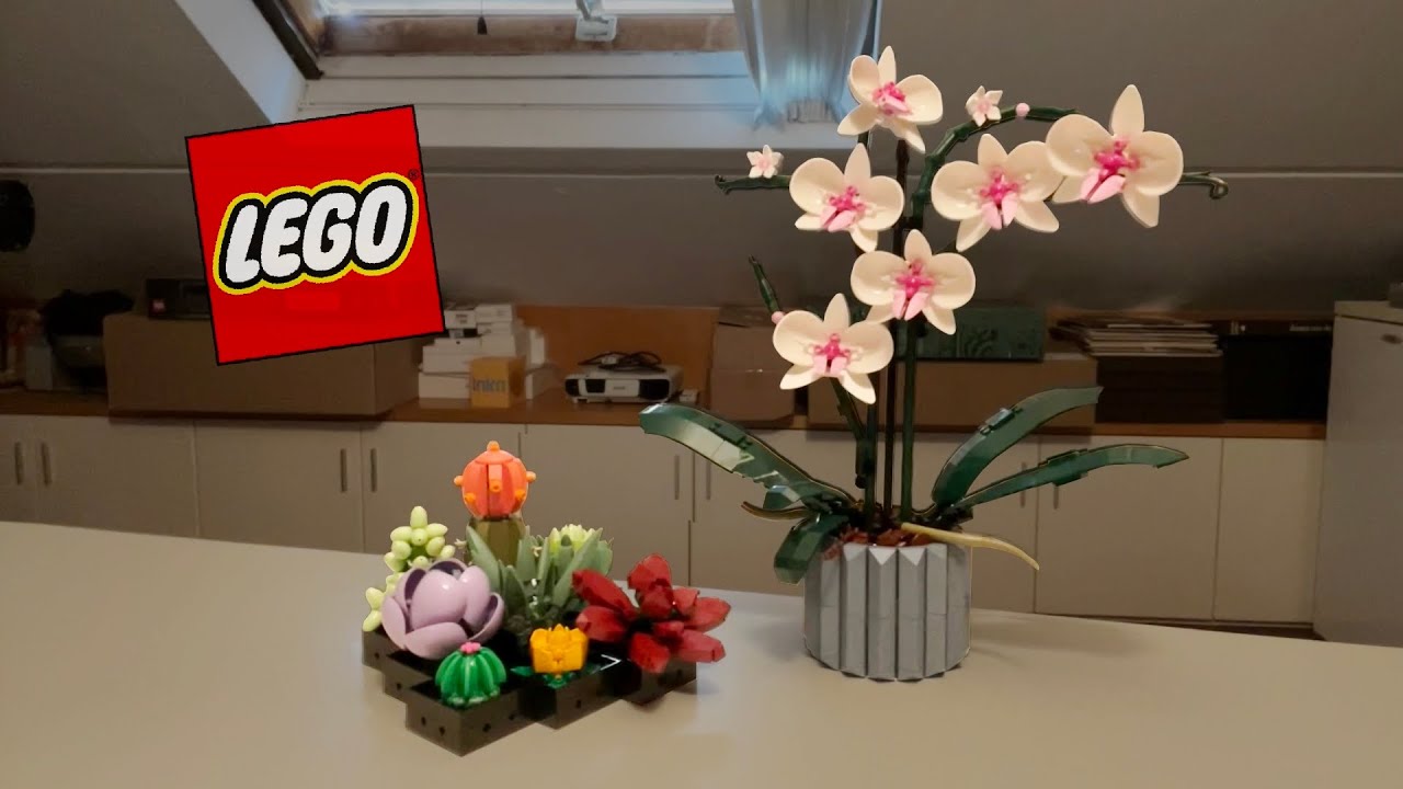 Costruisco i LEGO Orchidea e Piante grasse! 