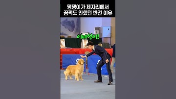 산처럼 버티는 댕댕이?.. 알고 보니 주인의 완벽한 연기력?!