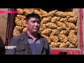 Рэкетиры и чиновники не пускают в Казахстан картошку из Кыргызстана