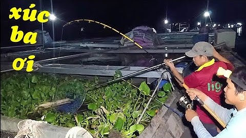 Đi săn cá đêm - Xuyên đêm trốn vợ đi câu cá tra và cái kết T111