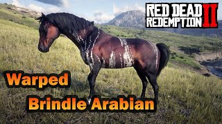 Wild Warped Brindle Arabian Location RDR2