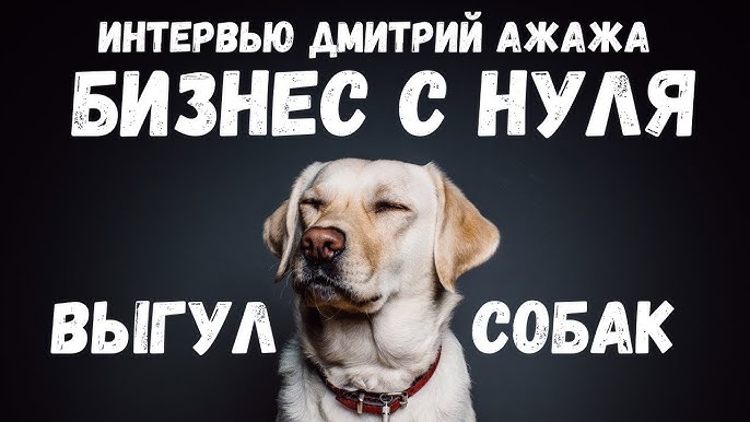 Бизнес на собаках Как Дмитрий Ажажа помогает решать проблемы собак и их владельцев