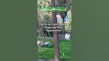 #ايات للسكينة و الطمانينة #سورة فاطر # # حالات واتساب Surah #quran# آية 34
