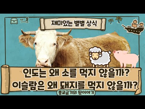 인도는 왜 소를 먹지 않을까?이슬람은 왜 돼지를 먹지 않을까?