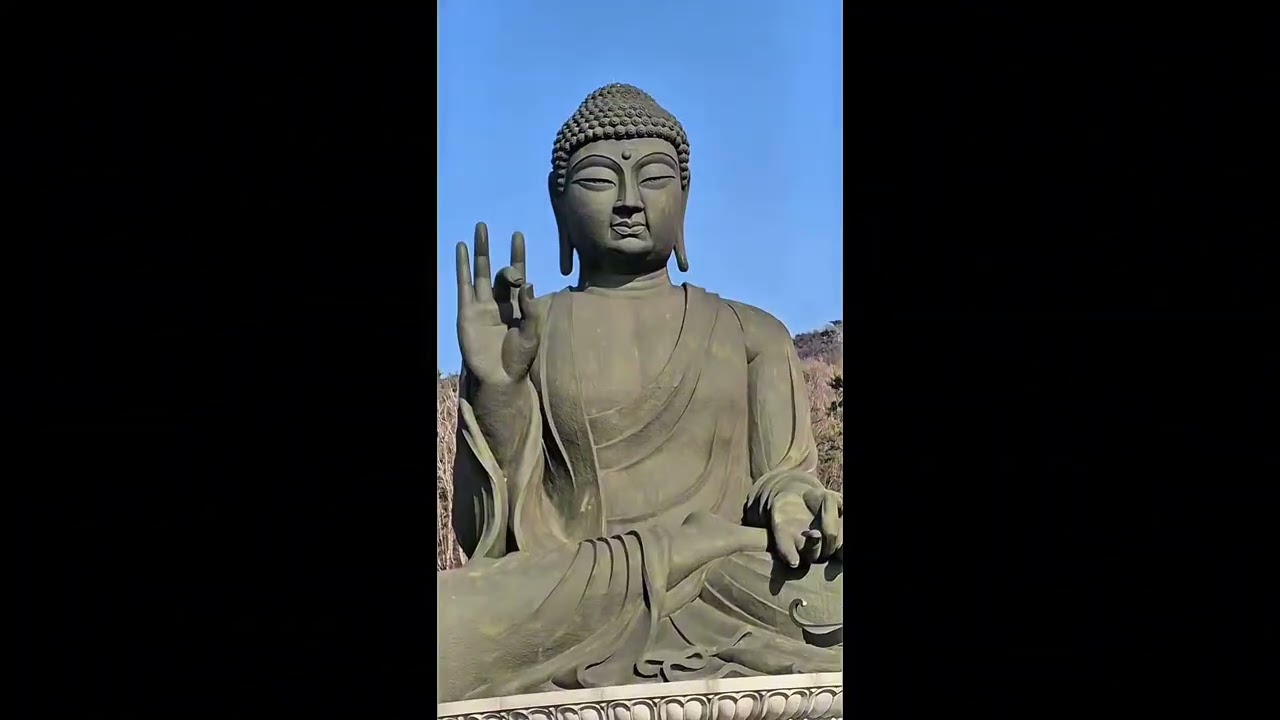 ​[불교음악] 각원사 대불의 자비와 49재의 위로 - 지금 이 순간의 빛 (잡아함경)