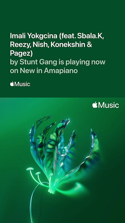 STUNT GANG #pianogang #amapiano