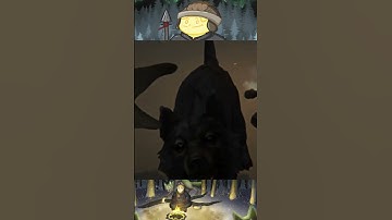 1000 Day Interloper Highlight - Near Death Experience