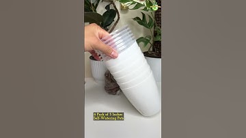 Let’s Unbox my Favorite Self-Watering Pots for Indoor Plants #thegreenearth #youtubeshorts #shorts