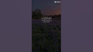 تلاوه هادئه    قرآن كريم.  #اكسبلور #لايك #راحة_نفسية