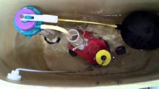 4764: 2010 ProFlo Toilet Tank