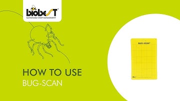 How to use Bug-Scan® from Biobest