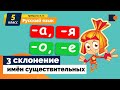 РУССКИЙ ЯЗЫК с монстриком. Склонение имён существительных