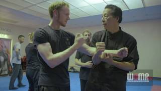 Wing Chun Elbow Pin Strike 1