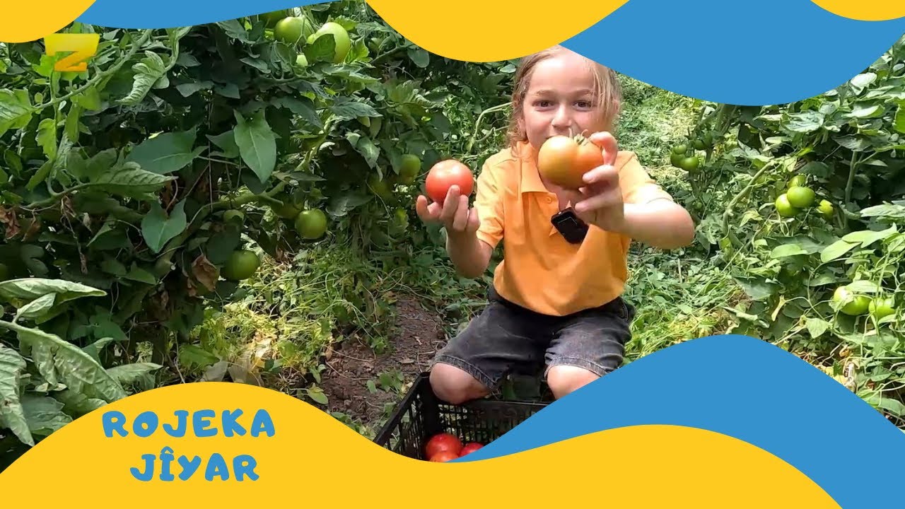 Zarok TV  - Rojeka Jîyar -  (Beş: 04)