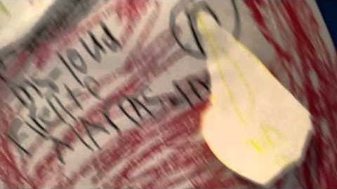 Firelite Alarms Inc. Pannel MS-10UD