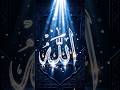 Islamic Calligraphy Art