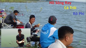 Câu đài thiên nhiên Hồ Sông Ray Cá Trôi và rô phi giật đã tay cùng đồng bọn.