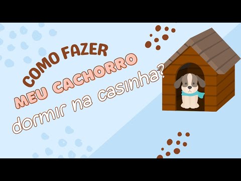 Vídeo: Por que cachorro não vai na casinha?