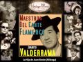 Juanito Valderrama - La Hija de Juan Simón (Milonga) (Flamenco Masters)