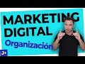 👨‍💼 Como organizar el EQUIPO de MARKETING DIGITAL