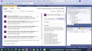 ADO.Net Disconnected Model using WPF