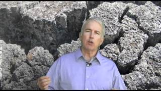 Sensitivity Training for Activities Part 1