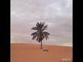 تلاوة محظرية مع القارئ ينج ولد عمار الشنقيطي