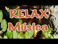 RELAX MUSICA RELAJACION música relajante para aliviar estrés meditar IMAGENES 4K MUSIC 2020 COVID-19