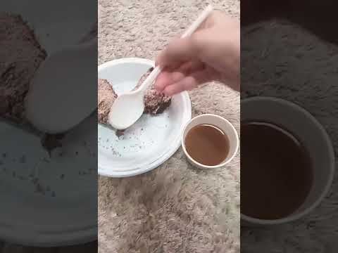 ٢٢ نوفمبر ٢٠٢٥