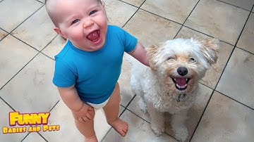 Adorable Baby & Dog Moments You Must See!😍 Animal and Human 2025   Funny Baby Videos