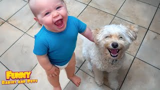 Adorable Baby & Dog Moments You Must See!😍 Animal and Human 2025   Funny Baby Videos