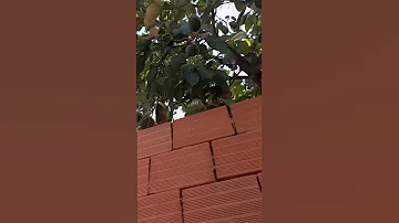 الله على غربي الله ليناوضياء جنات المراكشية البهجة اكسبلور 