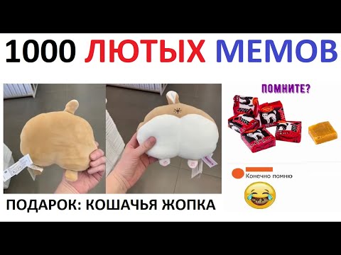 1000 мемов. МЕГАПОДБОРКА от Макса Максимова