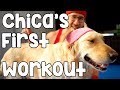 CHICA'S FIRST WORKOUT