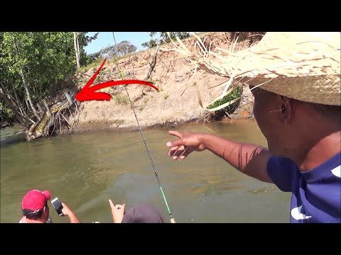 Vídeo: Pesca De Cobra