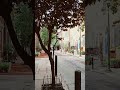 quaint, but kid-friendly street
