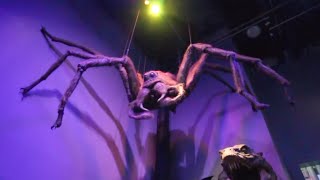 That Giant Spider and Other Creatures at The Making of Harry Potter, London, England