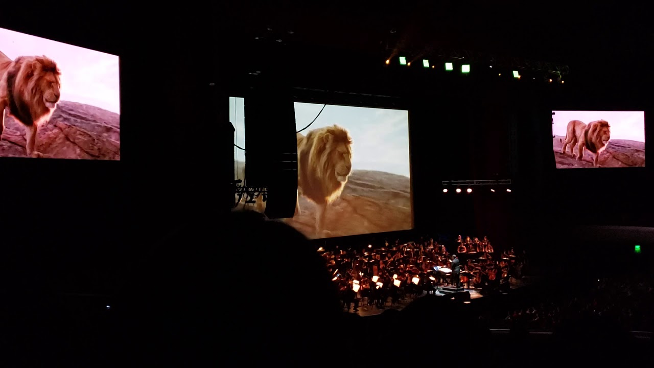 El Ciclo Sin Fin - Rey Leon El Concierto Auditorio Nacional