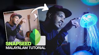 Snapseed ഉപയോഗിച്ച് ഇതുപോലെ Edit ചെയ്യാൻ പഠിക്കാം || Snapseed Malayalam Tutorial