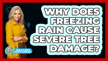 Why Does Freezing Rain Cause Severe Tree Damage? - Weather Watchdog