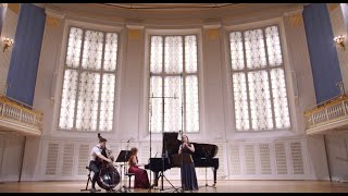 Johannes Brahms: Clarinet Trio op.114, 1st movement,  Vera Karner, Dominik Wagner, Aurelia Visovan