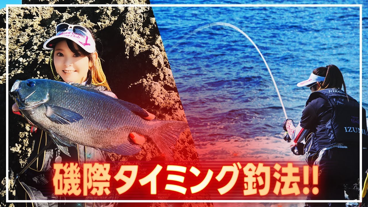 磯際に潜む良型を狙い撃ち！【グレ】 - YouTube