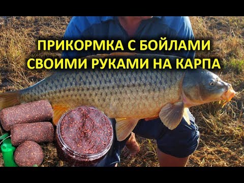 ПРИКОРМКА ДЛЯ ЛОВЛИ КАРПА С БОЙЛАМИ СВОИМИ РУКАМИ, ПРИКОРМКА УБИЙЦА ...