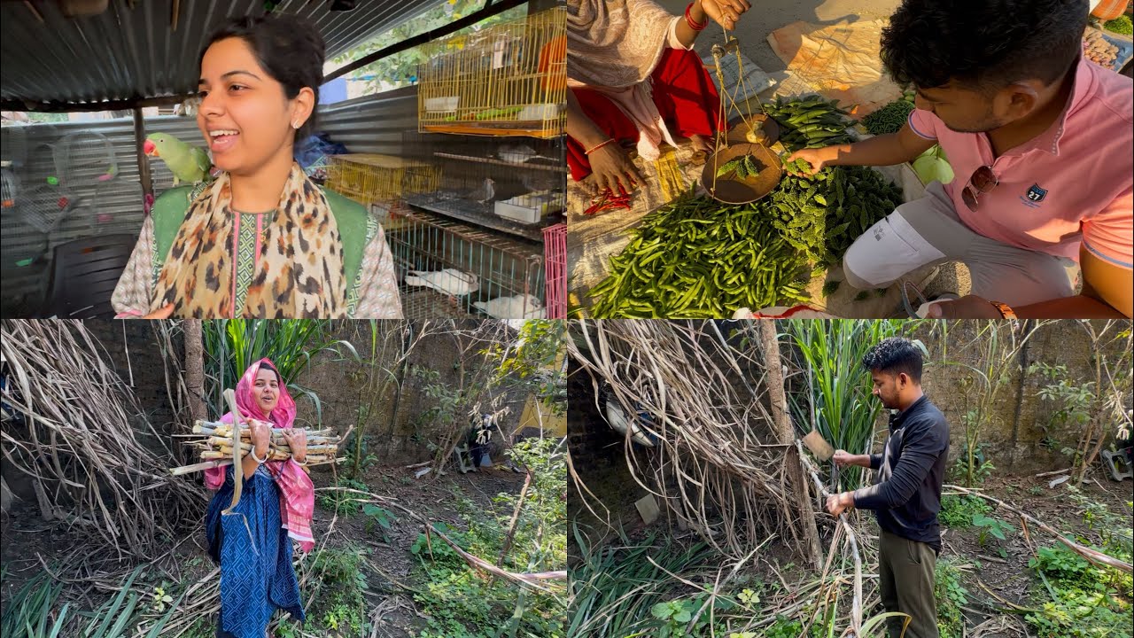 Sugercane cutting challenge for her and mission mitthu | Arif vlogs