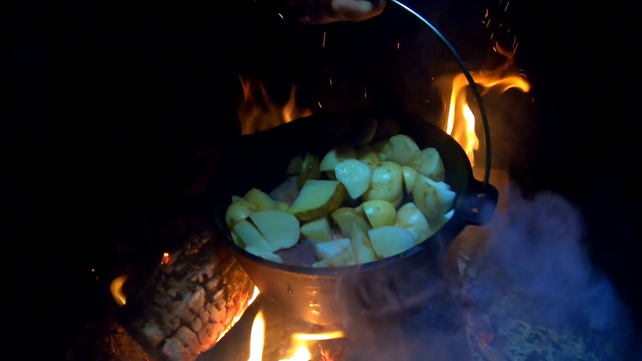 SURVIVAL CHALLENGE! Eating ROADKILL, Foraging, Wallaby Stew! YouTube