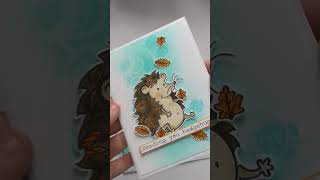 Hedgehugs