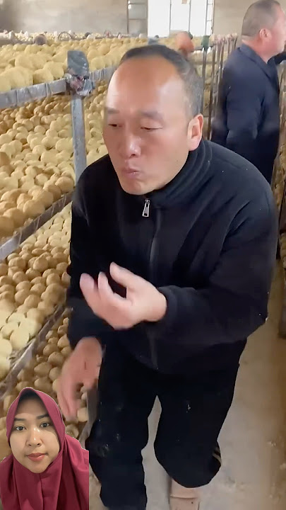 So egg or sand‼️EggsLon_89 #trendingshorts #trendingvideo #trending #shorts ru.