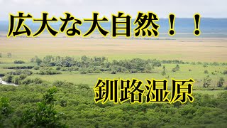 【絶景】JR釧網本線･釧路湿原駅から細岡展望台を目指す！