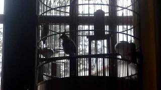 MOV07143