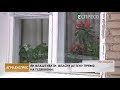 Як влаштувати власну аптеку прямо на підвіконні | Агро-Експрес